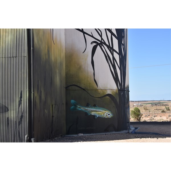 Waikerie Silo Art