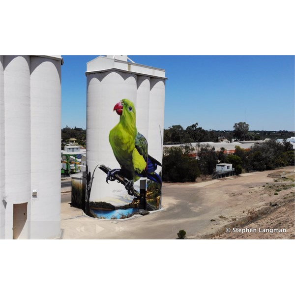 Waikerie Silo Art from the air