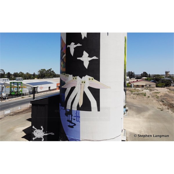 Waikerie Silo Art from the air