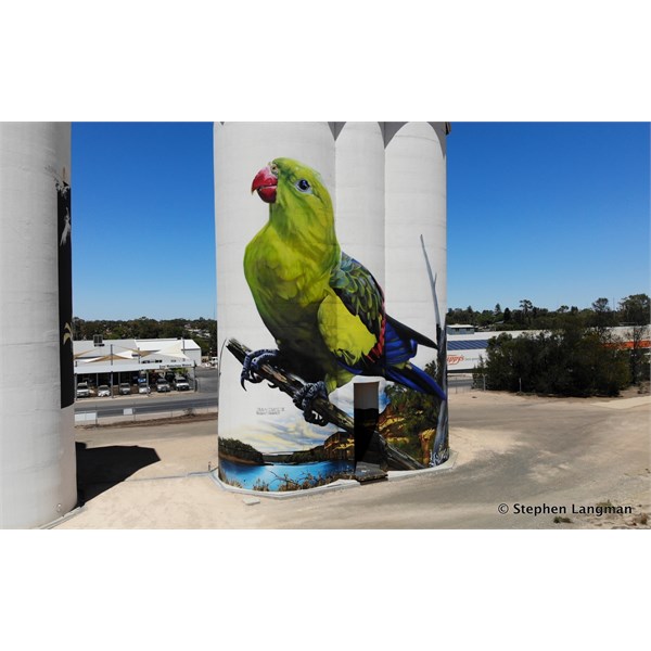 Waikerie Silo Art from the air