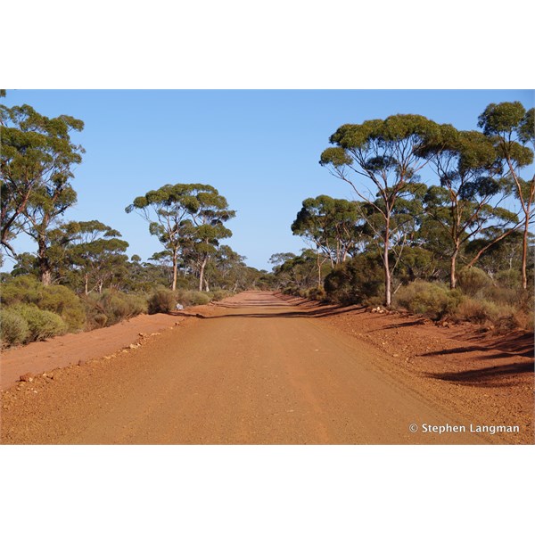 If you then head for Kalgoorlie, the drive is very pleasant with great camping opportunities 