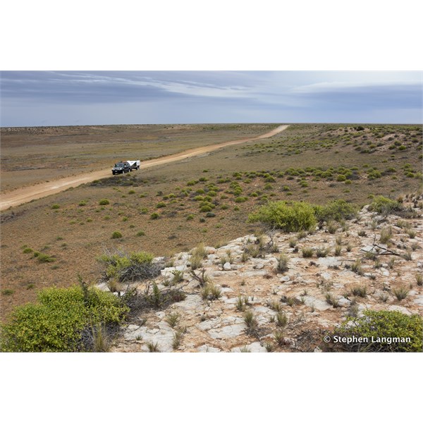 Stop and investigate the Marree Cliffs when heading out to Muloorina 