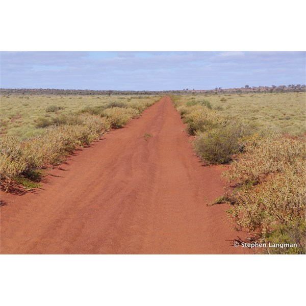 Along the Anne Beadell Highway