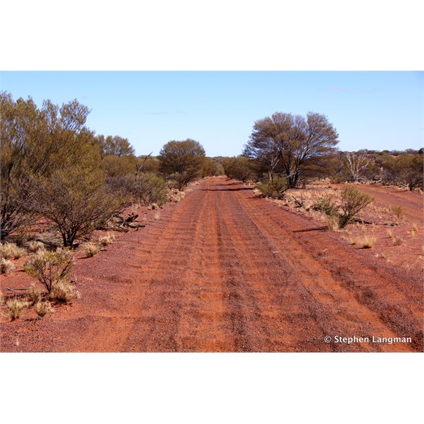 Between Emu and Tallaringa