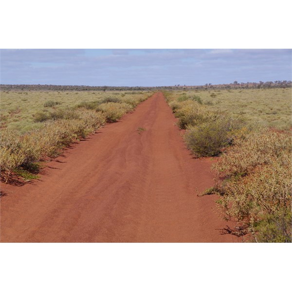 Then the country opens up