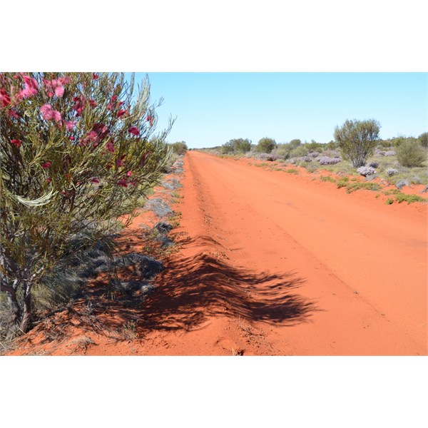 Super highway east of Neale Junction