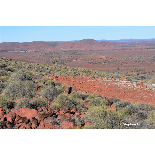 View from the top of the hill - spinifex the dominant plant species here