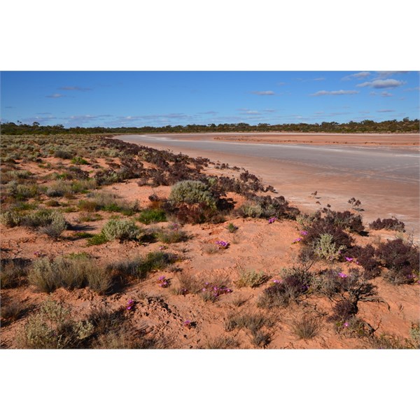 Just off a small side track before the South Australian Border