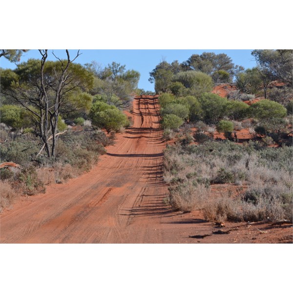 East of Voakes Hill Corner