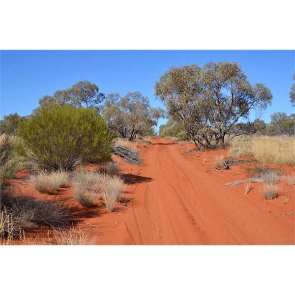 East of Voakes Hill Corner