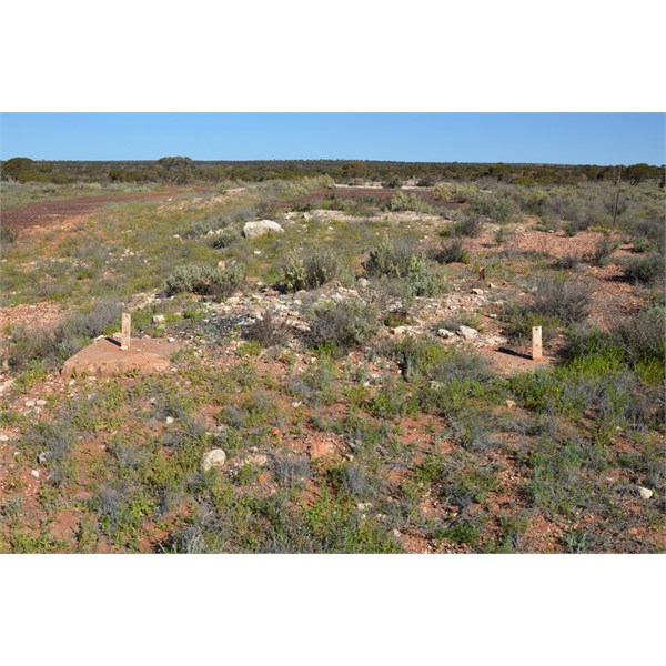 There is lots of exploring around Emu