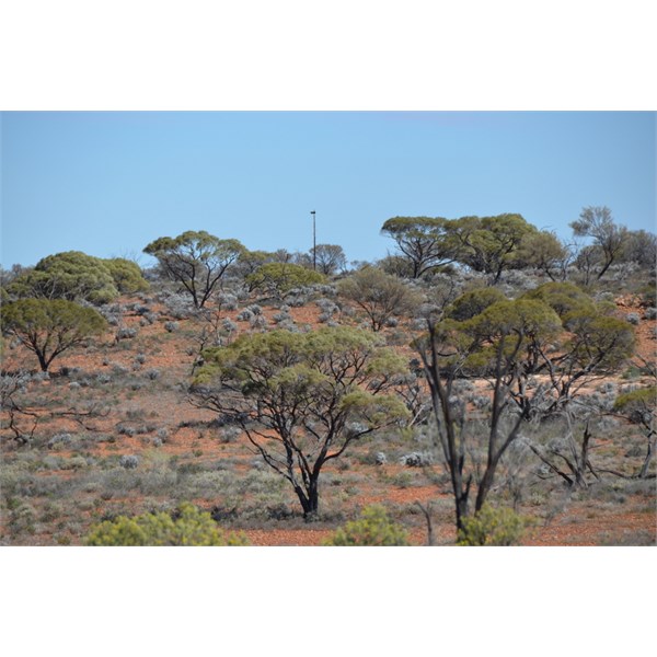 Lots to explorer around Emu