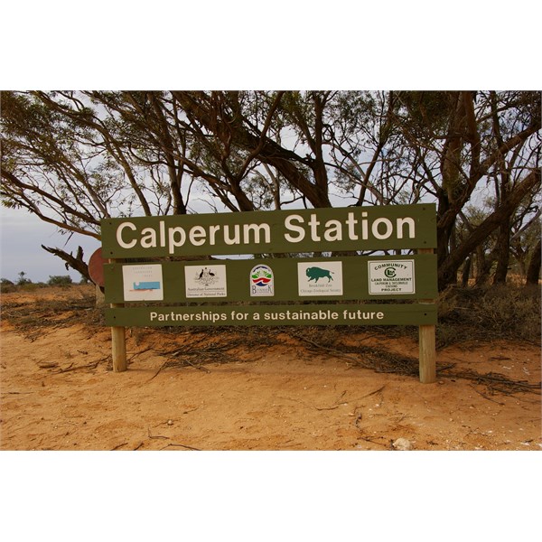 Around a kilometre from the Information Bay on your RHS is the road into Calperum Station