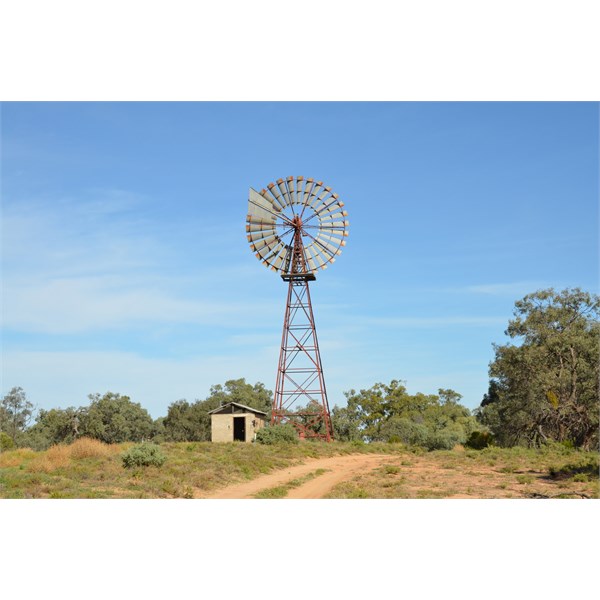 Calperum Station