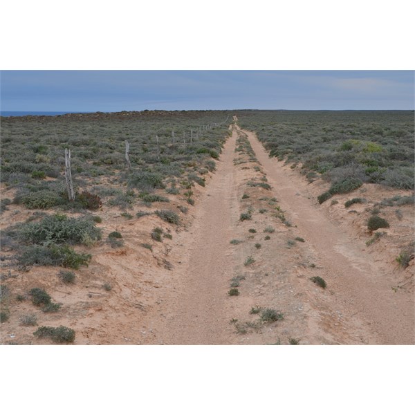 The track along the coast