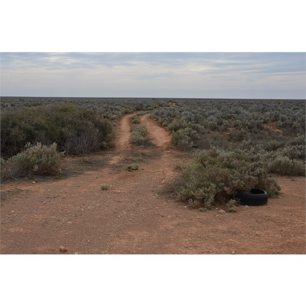 This tyre on the Old Eyre Highway marks the track north to Watson