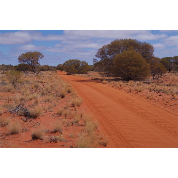 Coober Pedy - Emu Section