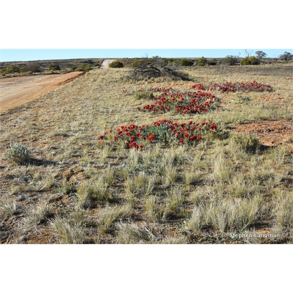 Oodnadatta Track only 10 days ago