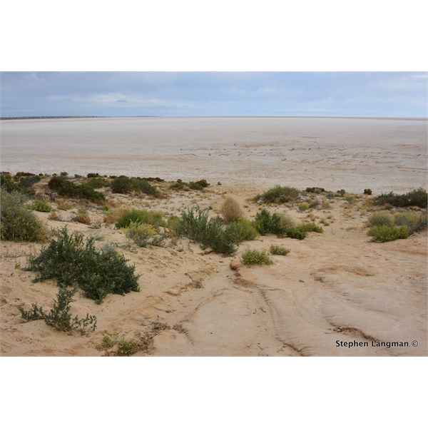 Level Post Bay - Lake Eyre North