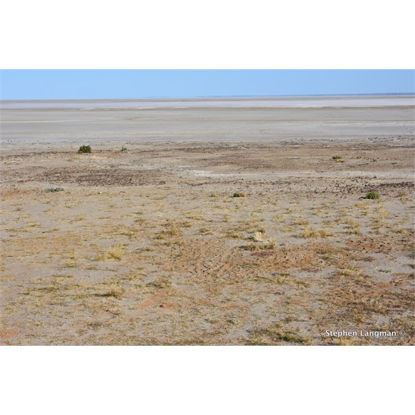 Halligan Bay - Lake Eyre North