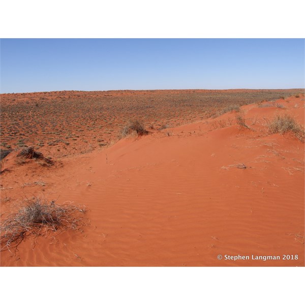 If any experienced driver thinks they can drive through virgin dune country like this, you can find out more here