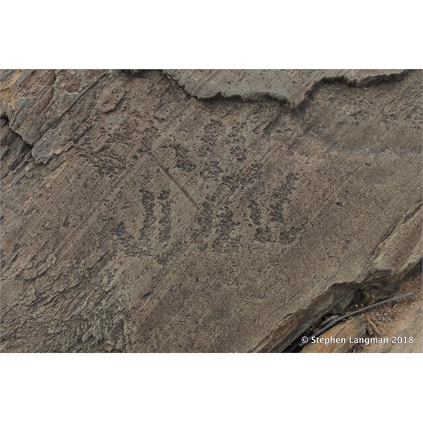 Aboriginal petroglyphs - Mid North of South Australia