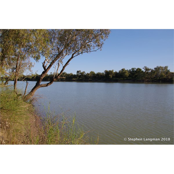 Standing on the bank in 2011 with a very full Annandale Waterhole
