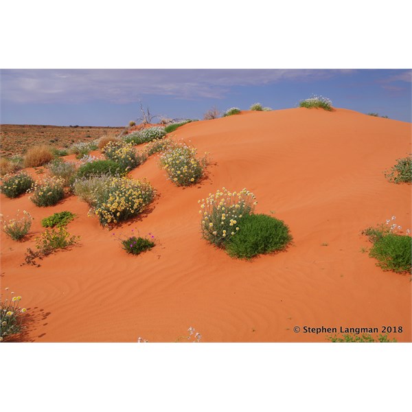The many faces of the Simpson Desert
