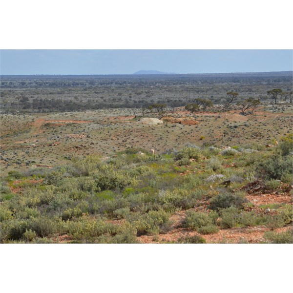 Mount Finke from Tarcoola
