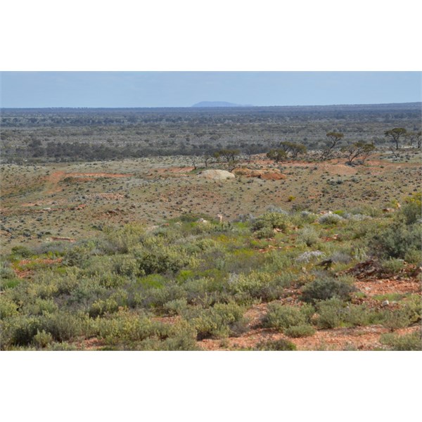 Mount Finke from Tarcoola