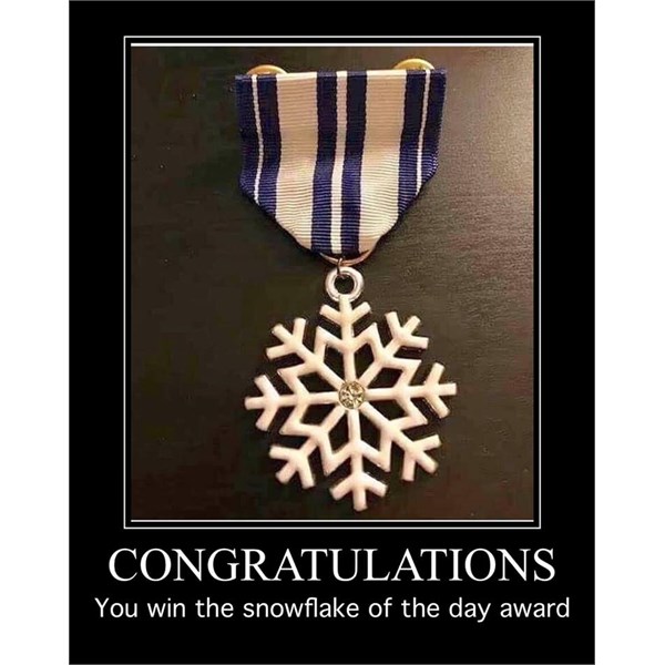 Snowflake Medal