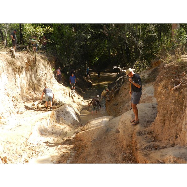 Removing logs