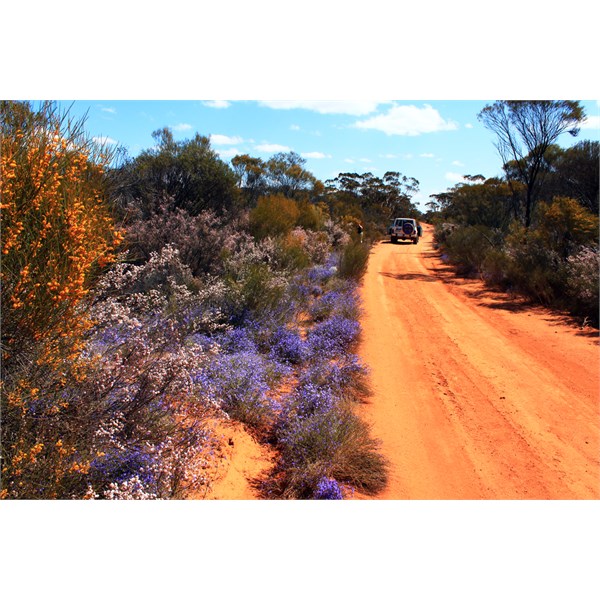 Victoria Rock Rd Coolgardie 2011