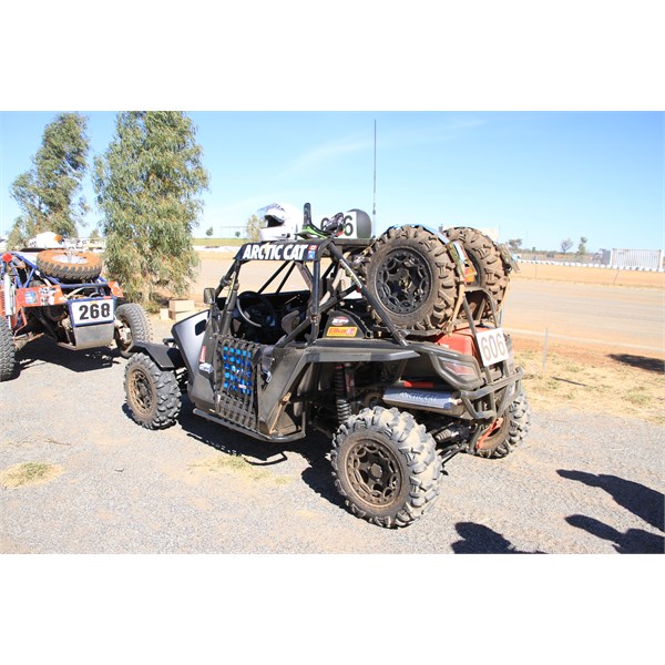 The solitary Wildcat at FINKE