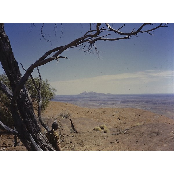 The Olgas from Uluru