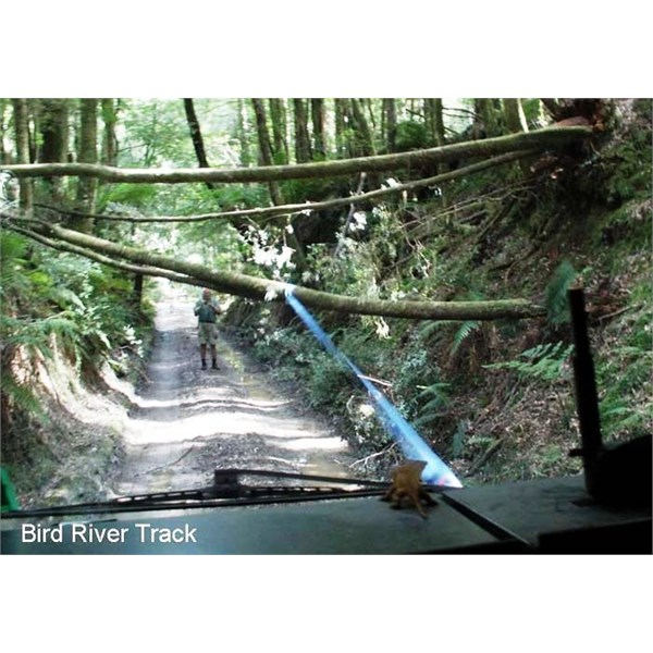Bird River Bridge track