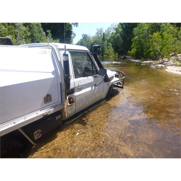 Bogged in the South Alligator