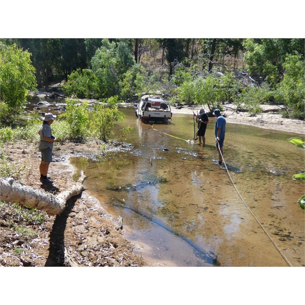 Bogged in the South Alligator