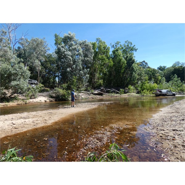 Bogged in the South Alligator