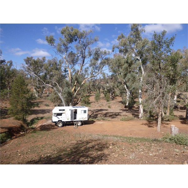 Flinders Ranges NP. Brachina East Campground, site 11.