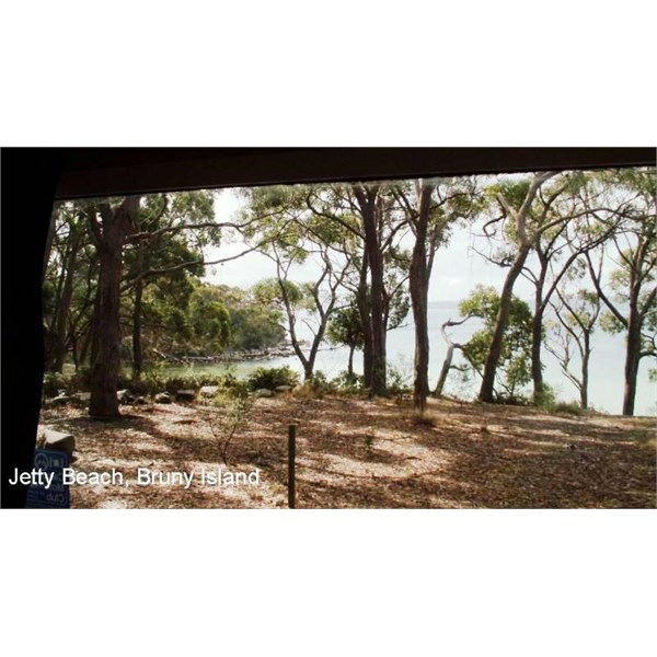 East Cloudy Bay camp site