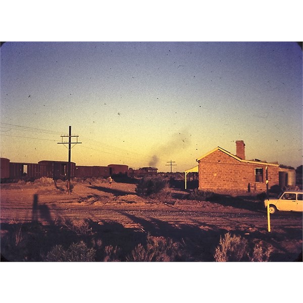 Coward Springs, on the way to Billa Kalina, 1970.