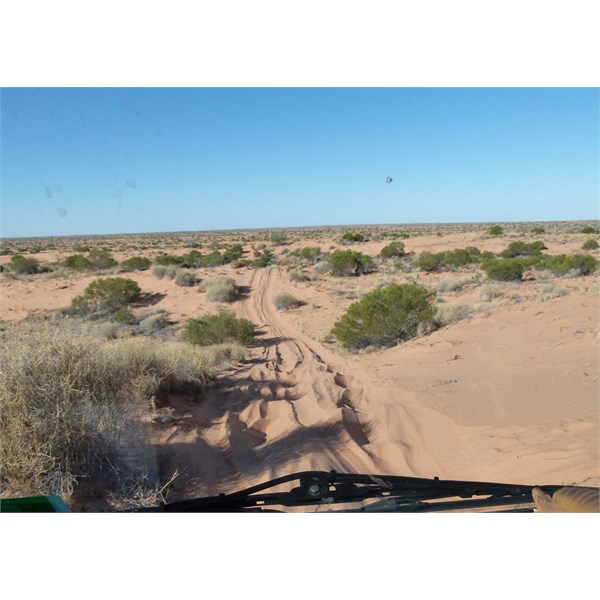 Simpson track damage