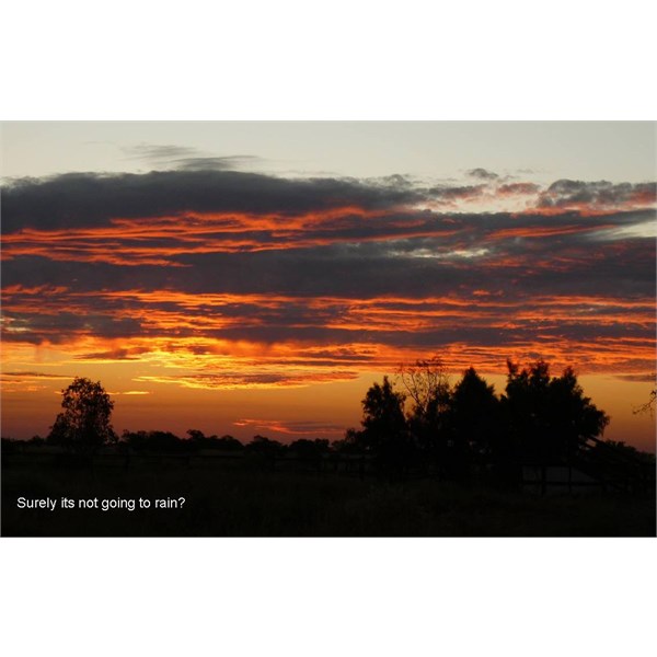 Yarrie 2008.