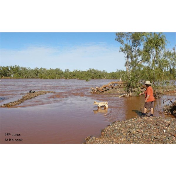 Yarrie 2008.