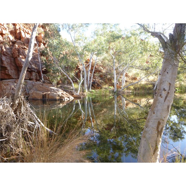 Desert Queen Baths, today.