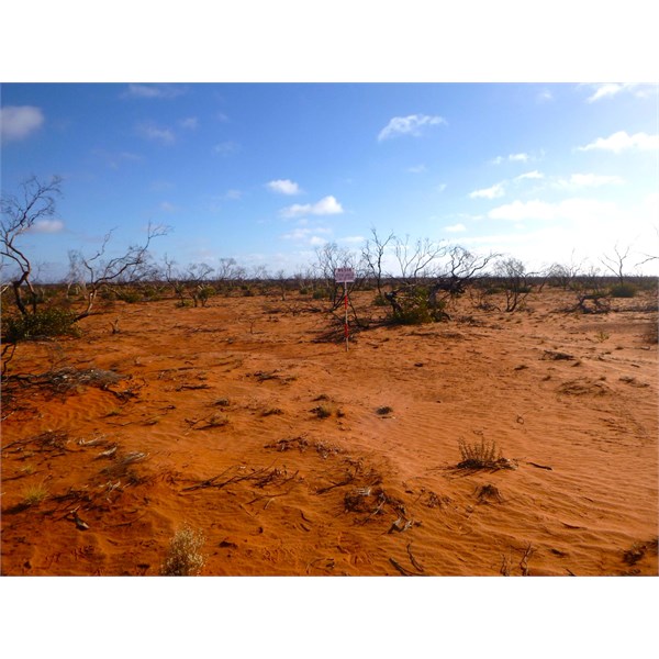 GVD photo point August 2025