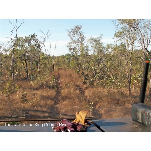 1. King George Falls 2006