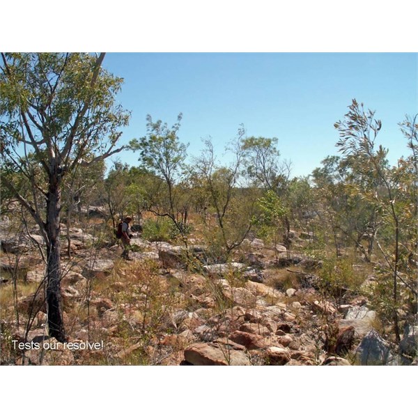 3. King George Falls 2006