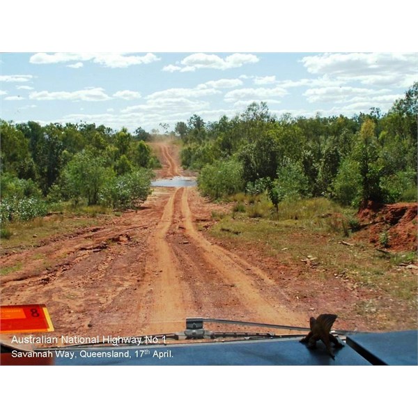Savannah Way 2007